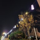 정여사전집 | 2022.11.18 ~ 11.19 전북 군산여행