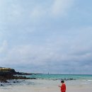 연월농장 이미지