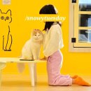 에이보릿 | 고양이카페 아이캣유 양주 아이와 함께 내돈내놀 I CAT YOU