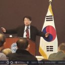 라비돌