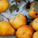 단전호흡 이미지