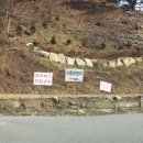 사동유원지 Daum카페