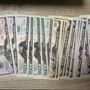 진도하루 이미지