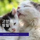 어울림공원 4 화장실 이미지