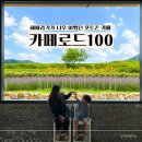 카페100 - 구미시 남문로3길 26-3 | 경주 아이랑 해바라기카페 카페로드100 후기