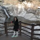 시례1 이미지