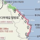 Re: 바다부채길과 헌화로 산책길 이미지