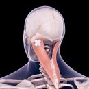 달천한의원 이미지