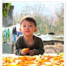 성찬농원 이미지