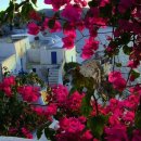 산토리니민박 이미지