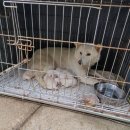 신덕주유소 이미지