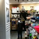 몰리스펫샵 센텀 이미지