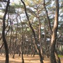 용장1리 티스토리