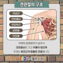 미소웰한의원 네이버블로그
