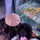 화진메디 이미지