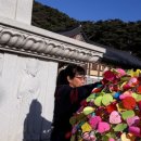 강보농장 이미지