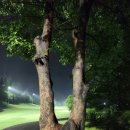 신라CC골프장화장실 이미지