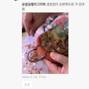 단추나무 | 박쥐란 부작 :: 팟투팟 단추 부작판 :: 사용후기