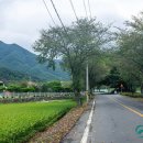 의령 율산정 네이버블로그