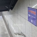 법인아라