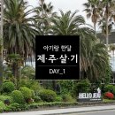 벨롱하우스 | 아기랑 제주도 한달살기 1 - 첫비행/벨롱하우스숙소후기