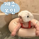 제주온인 | 아기랑 제주여행 숙소 추천｜제주동쪽숙소 제주온인, 자쿠지까지 완벽했던 후기