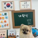 까까뭉치 이미지