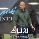 스니치 영화 후기, X약 파는 드웨인 존슨?!