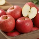 속담농장 | 청송 꿀사과 특가 후기｜부사·감홍·시나노골드 5kg 10kg 솔직 리뷰