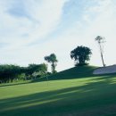 TOP 골프랜드 이미지