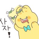 폼드팡 이미지