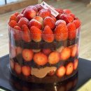 시루가 | 대전 빵지순례 성심당 금요일 웨이팅 후기(feat. 딸기시루막내)