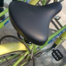 신정호국민관광지 대여소 이미지