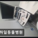 하일동물병원
