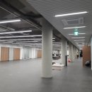 성실한세탁 | 하림 익산 2공장 포장 업무 후기: 근무 강도부터 급여, 필수 준비물까지 완벽 분석