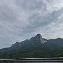 이레상사 | 단짠 여름