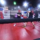 골든보이복싱체육관 이미지