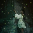 미디어피쉬 이미지