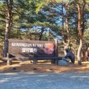 스위스밸리 | 켄싱턴리조트 설악밸리(강원도 숙소)-강아지와 함께하는 한국의 스위스!