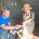 접시, 찻잔 등 실생활 도자기 제작 | 경주원데이클래스 도자기 공방 체험 20000원으로 나만의 작품 만들기 세인도예연구소