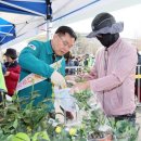 서항근린공원 이미지