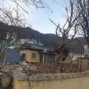 원조영양탕 이미지