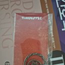 싱글벙글노래방 | 쏜애플 콘서트 - 바다와 구름과 무대 (251220) 후기