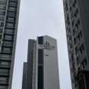 용호동미용실 : 아베다디오 메트로시티자이점 주원점장님에게 중단발병 치유받은 후기 (feat.내돈내산)