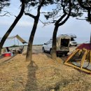 부흥해수욕장 이미지