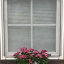 칸트하우스민박