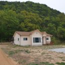 울진공인행정사 이미지