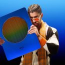 스타버니 이미지