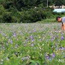 후평농장 이미지