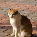 품속농장 이미지